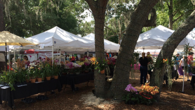 People Standing Around Tents