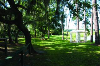 Park with Mulitple Trees