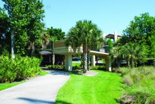 Building Next to Trees at a Park